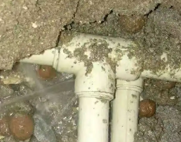 带岭测漏水多少钱