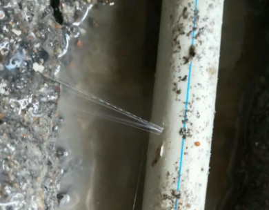 带岭测漏水哪家好