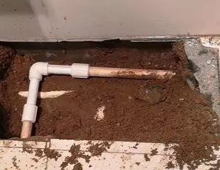 带岭测漏水哪家好