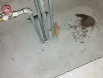 带岭卫生间测漏水价格明细