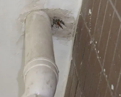 带岭漏水检测哪家好